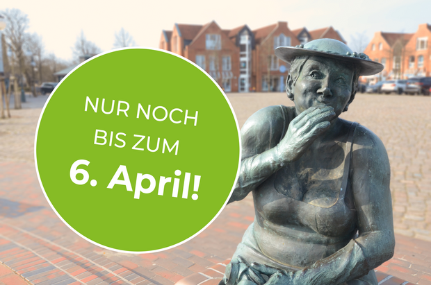Glasfaser Vermarktung in Harrislee bis 6. April 2023