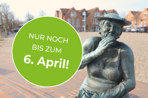 Glasfaser Vermarktung in Harrislee bis 6. April 2023