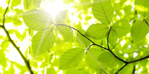 Mit greenconcept zur CO2-Neutralität