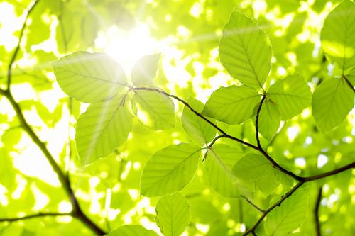 Mit greenconcept zur CO2-Neutralität