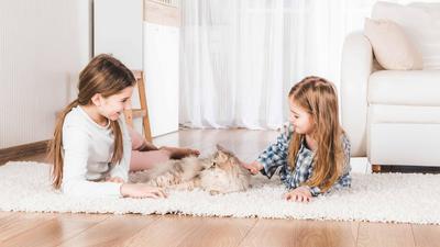 Zwei junge Mädchen liegen mit einer Katze auf einem Teppich.