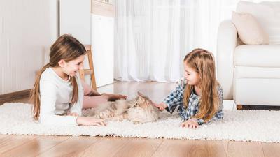 Zwei junge Mädchen liegen mit einer Katze auf einem Teppich.