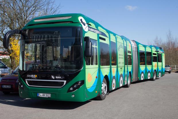 Ein großer Gelenkbus mit dem Motiv einer Raupe parkt am Straßenrand. 