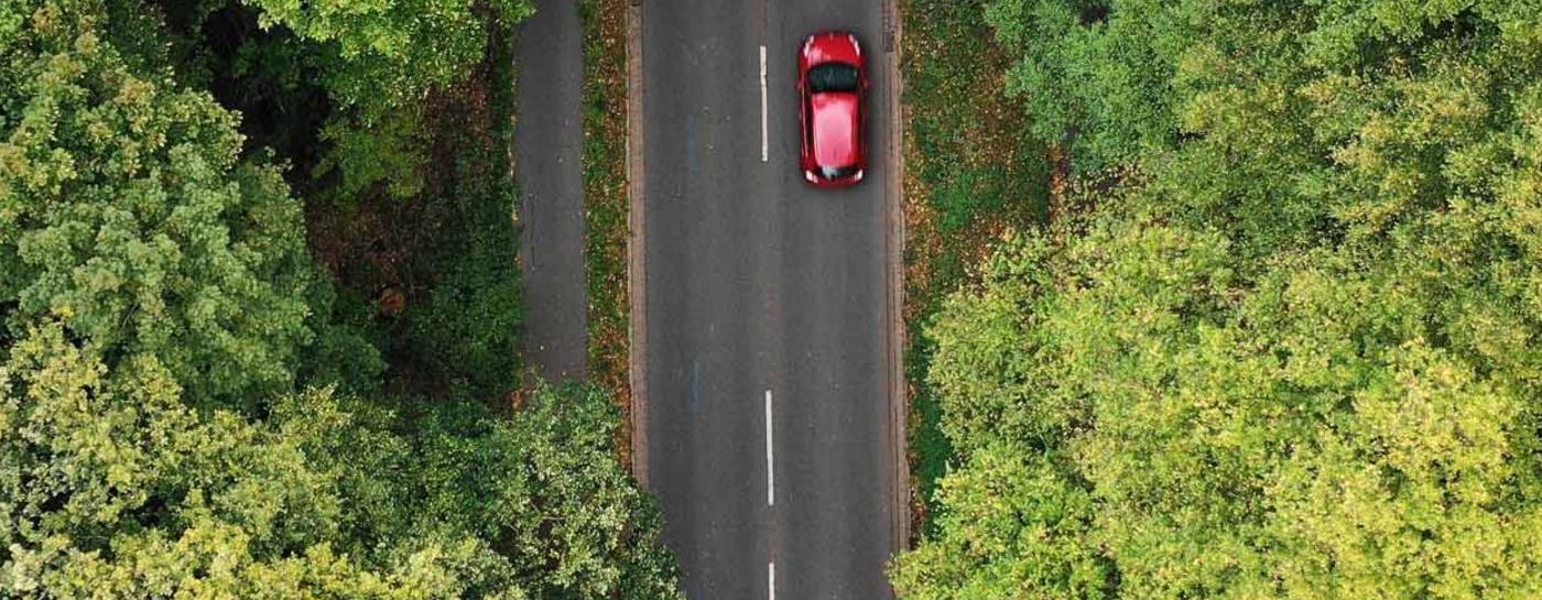 Elektroauto auf Landstraße im Wald