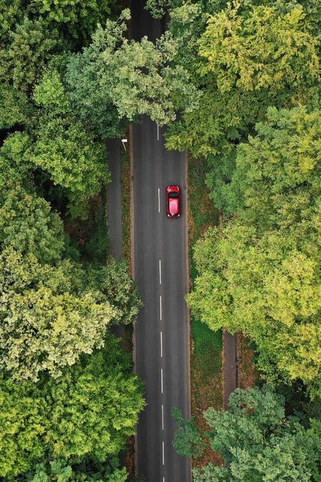 Elektroauto auf Landstraße im Wald