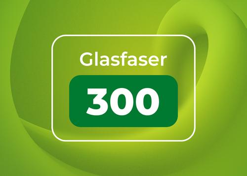Glasfaser 300