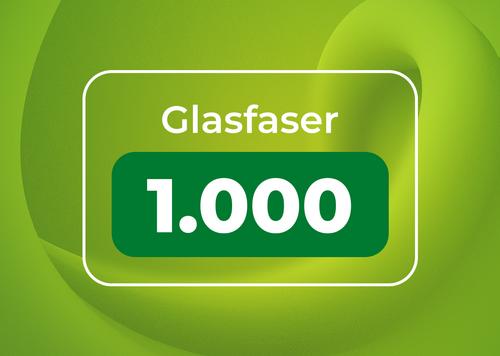 Glasfaser 1000