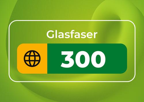 Glasfaser 300 Internet