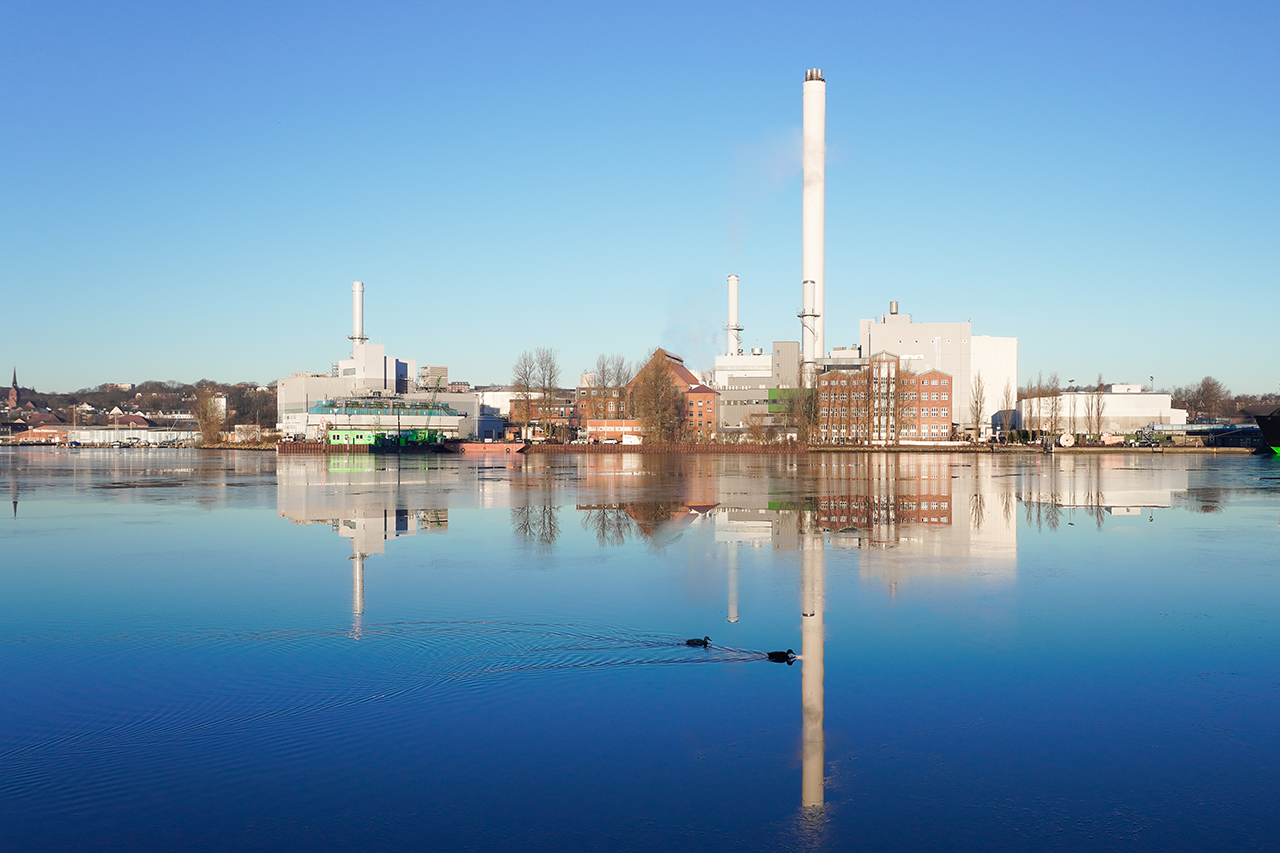 Flensburg Profi